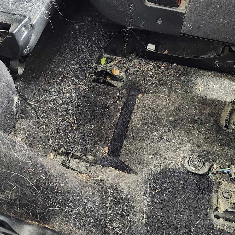 Queenstown Car Detailing